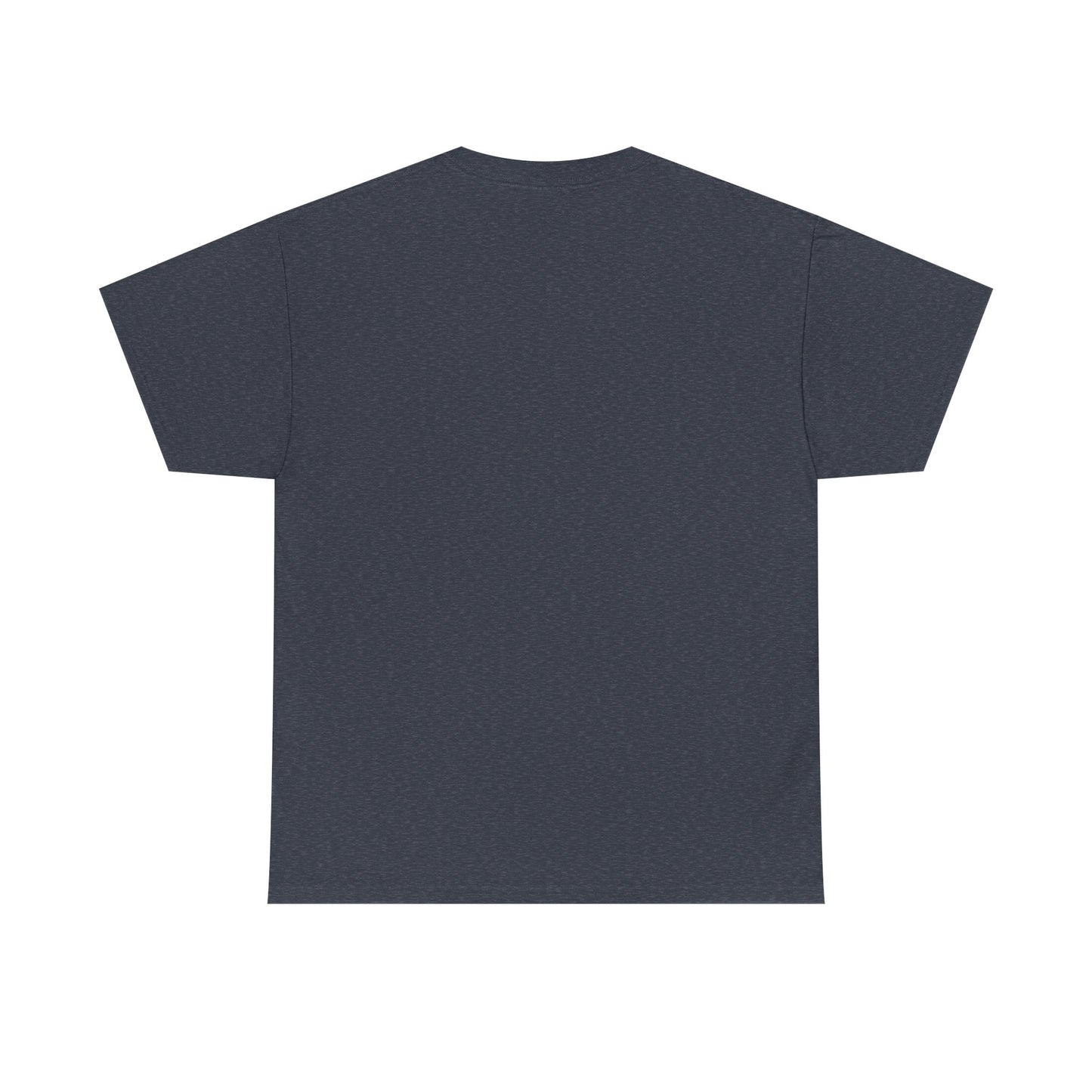 Alligator Alcatraz – Est. 2025 Deportation Unit Tee